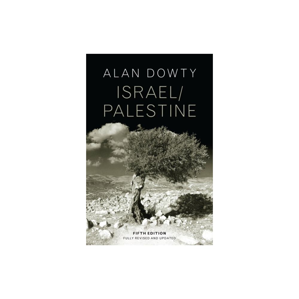 Produktbild för Israel / Palestine (häftad, eng)