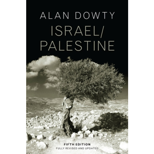 John Wiley And Sons Ltd Israel / Palestine (häftad, eng)