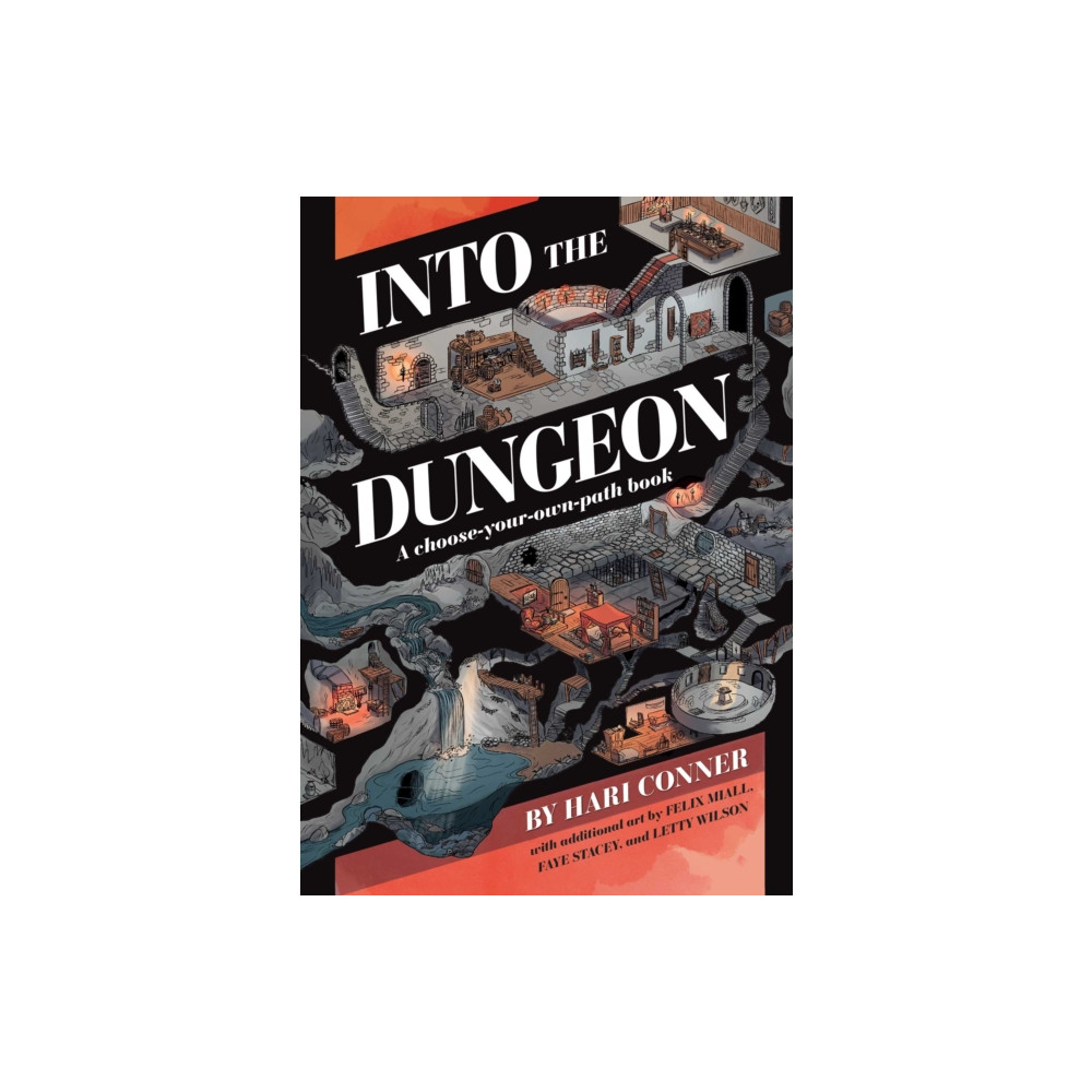 Produktbild för Into the Dungeon (häftad, eng)