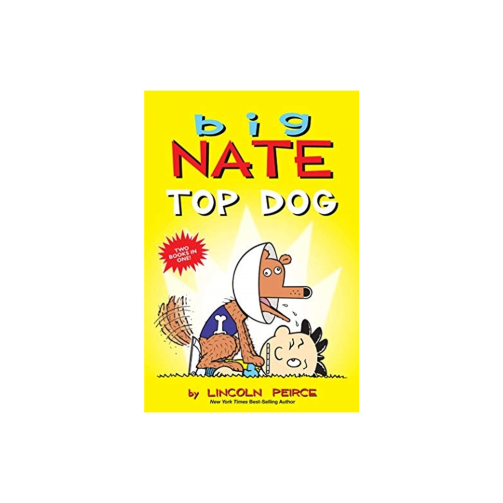 Produktbild för Big Nate: Top Dog (häftad, eng)
