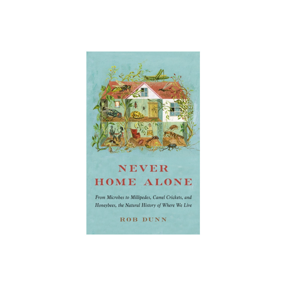 Produktbild för Never Home Alone (häftad, eng)