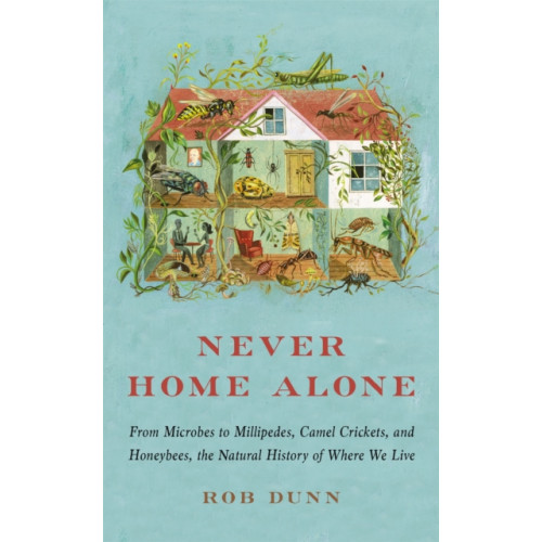 Basic Books Never Home Alone (häftad, eng)