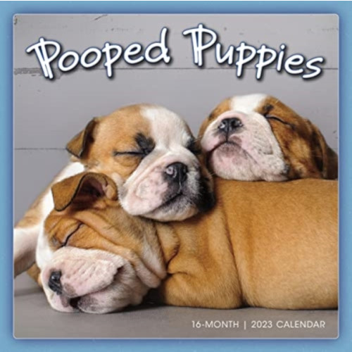 GLOBAL PUBLISHER SERVICES POOPED PUPPIES (häftad, eng)