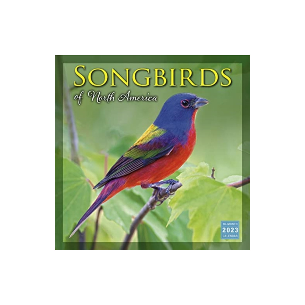 Produktbild för SONGBIRDS OF NORTH AMERICA (häftad, eng)