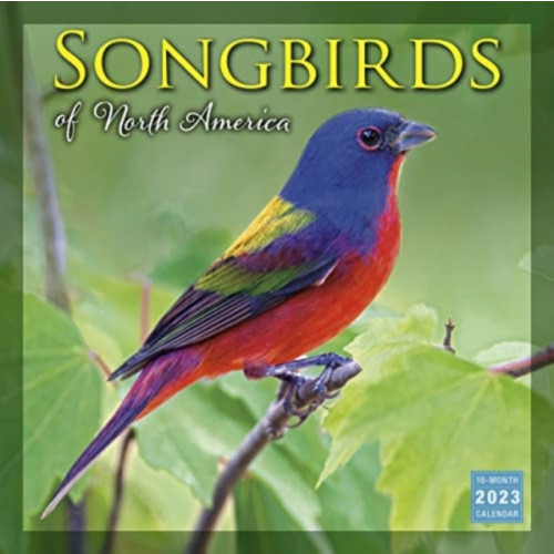 GLOBAL PUBLISHER SERVICES SONGBIRDS OF NORTH AMERICA (häftad, eng)