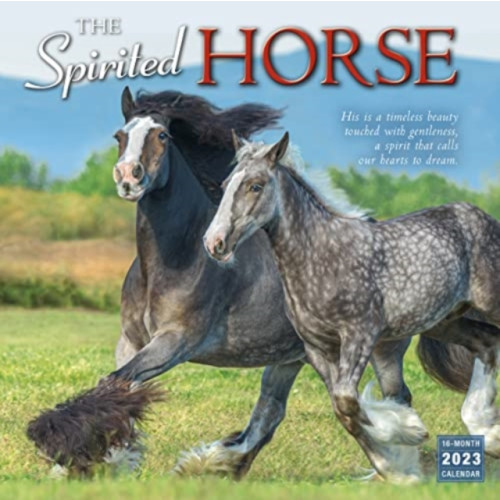 GLOBAL PUBLISHER SERVICES SPIRITED HORSE THE (häftad, eng)