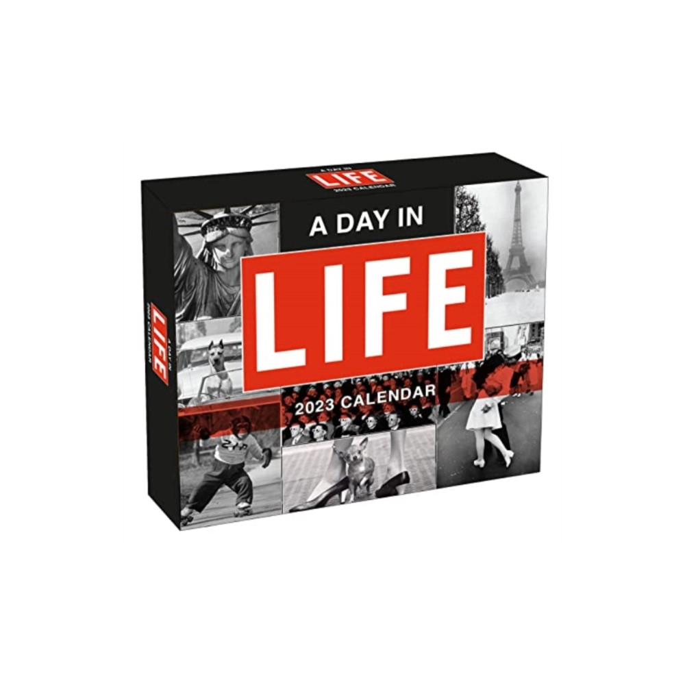 Produktbild för DAY IN LIFE A (häftad, eng)