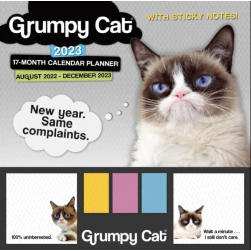 GLOBAL PUBLISHER SERVICES GRUMPY CAT ITS ALL DOWNHILL FROM HERE (häftad, eng)