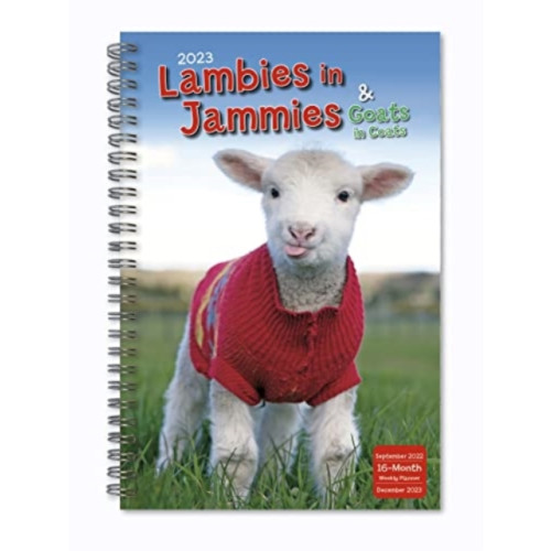 GLOBAL PUBLISHER SERVICES LAMBIES IN JAMMIES GOATS IN COATS (häftad, eng)