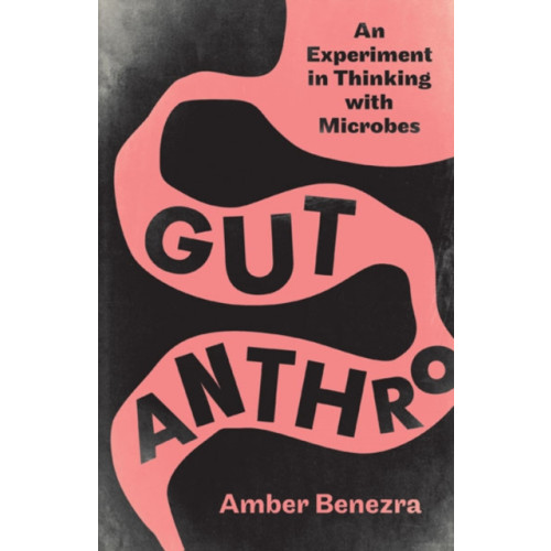 University of Minnesota Press Gut Anthro (häftad, eng)