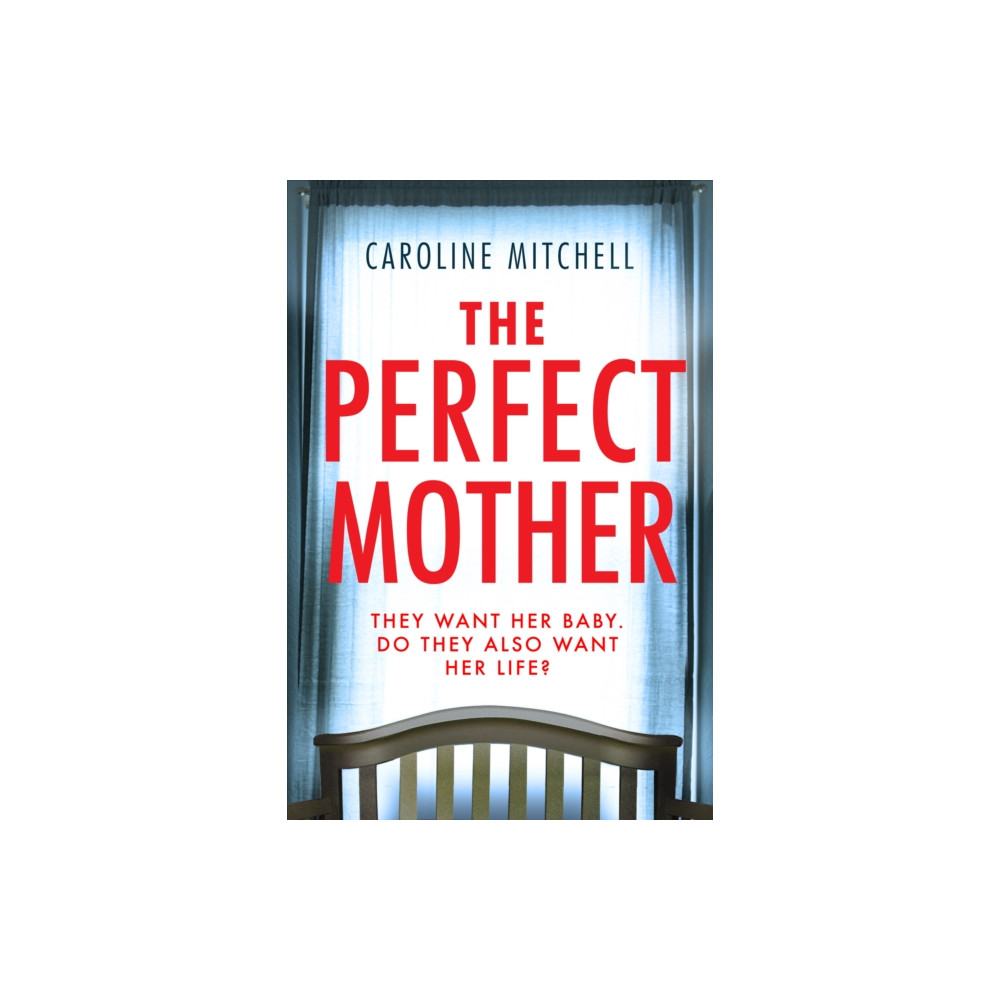 Produktbild för The Perfect Mother (häftad, eng)