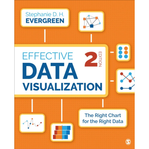 Sage publications inc Effective Data Visualization (häftad, eng)