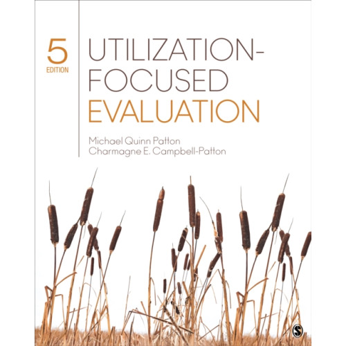 Sage publications inc Utilization-Focused Evaluation (häftad, eng)