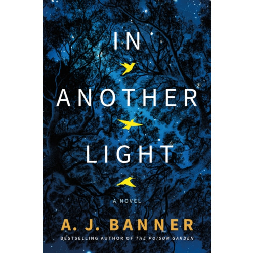 Amazon Publishing In Another Light (häftad, eng)