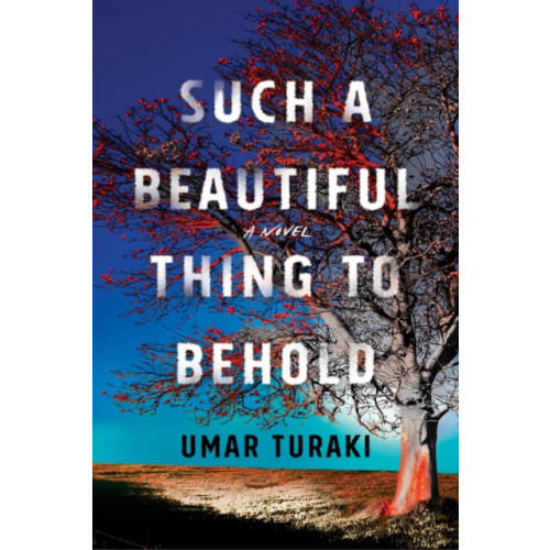Amazon Publishing Such a Beautiful Thing to Behold (häftad, eng)