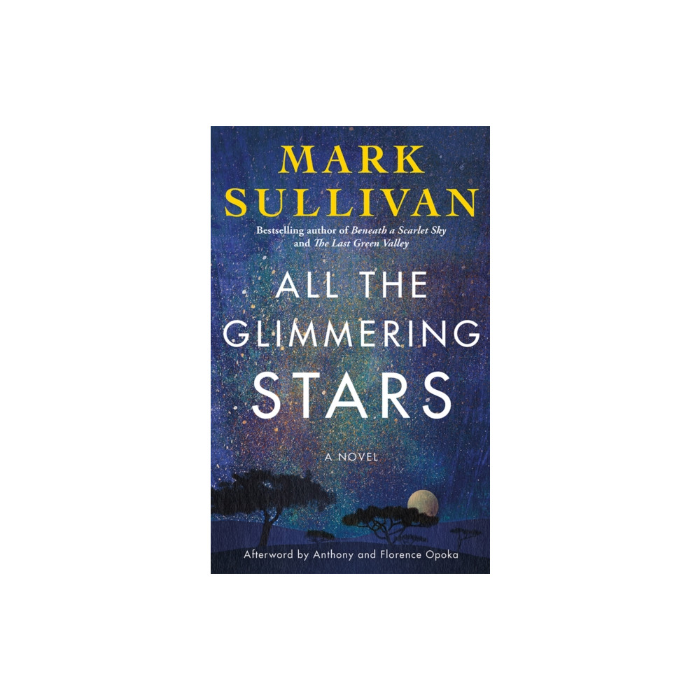 Produktbild för All the Glimmering Stars (häftad, eng)