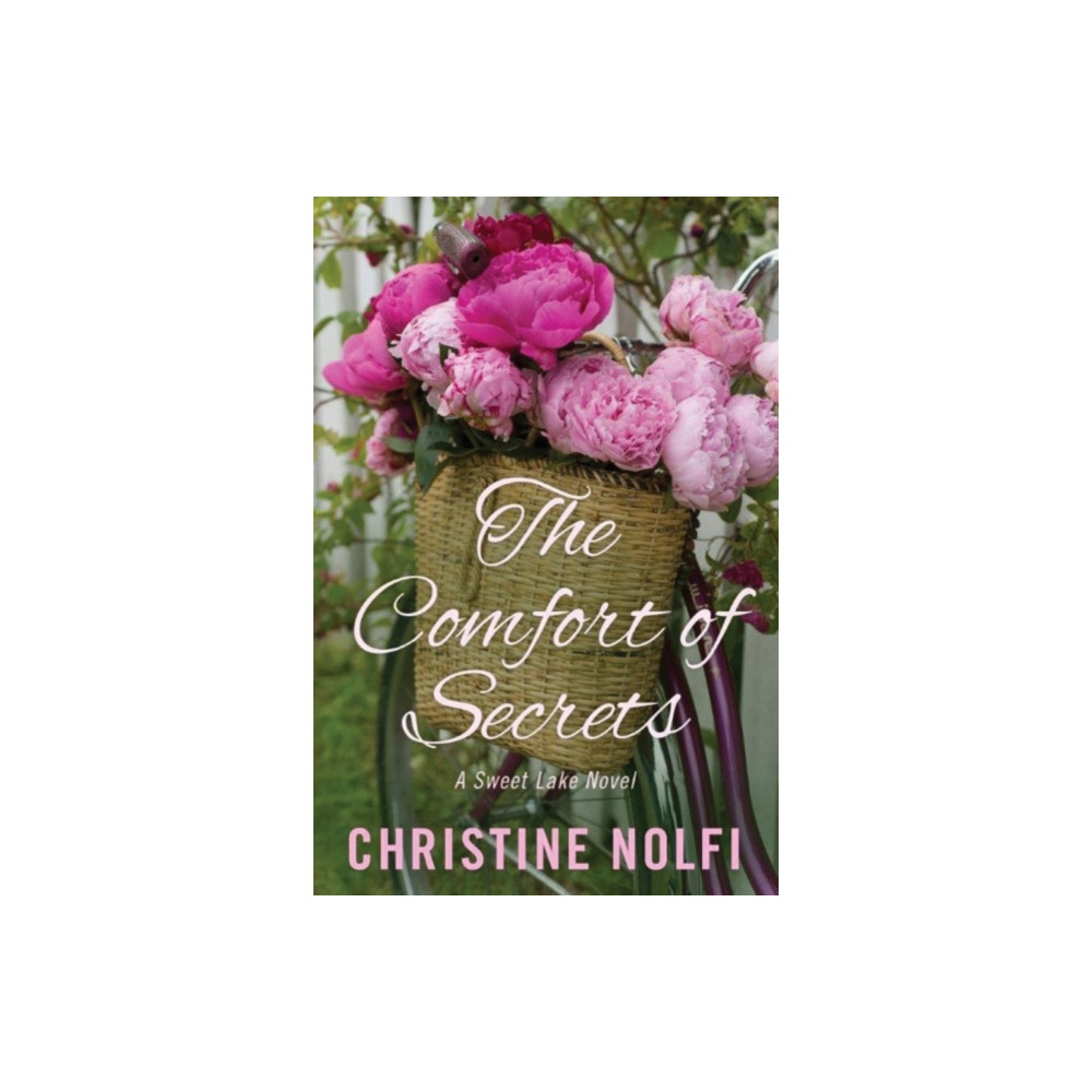 Produktbild för The Comfort of Secrets (häftad, eng)