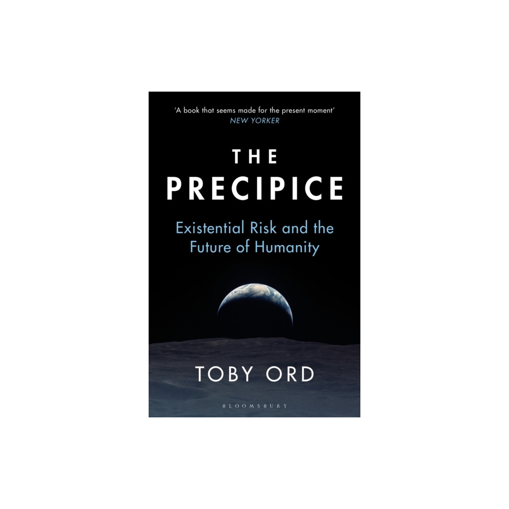 Produktbild för The Precipice (häftad, eng)
