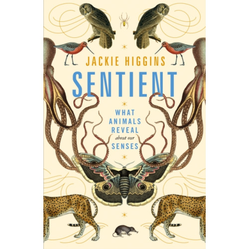 Pan Macmillan Sentient (inbunden, eng)
