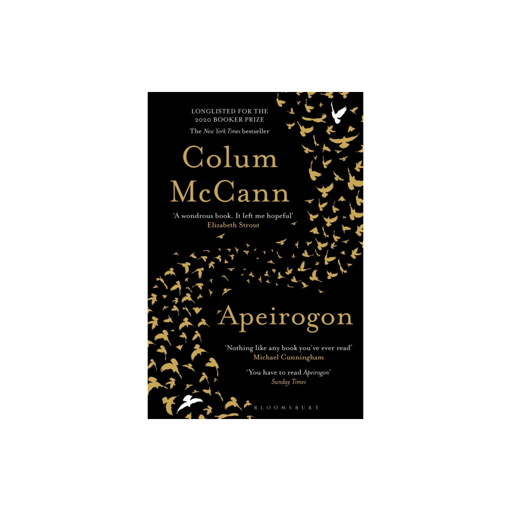 Produktbild för Apeirogon (häftad, eng)