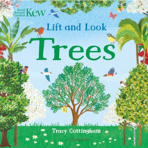 Bloomsbury Publishing PLC Kew: Lift and Look Trees (bok, board book, eng)