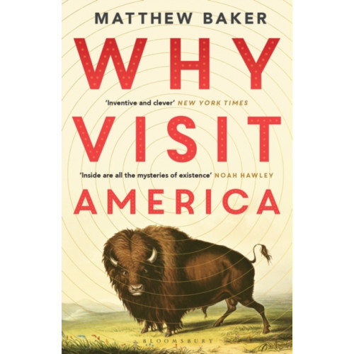 Bloomsbury Publishing PLC Why Visit America (häftad, eng)