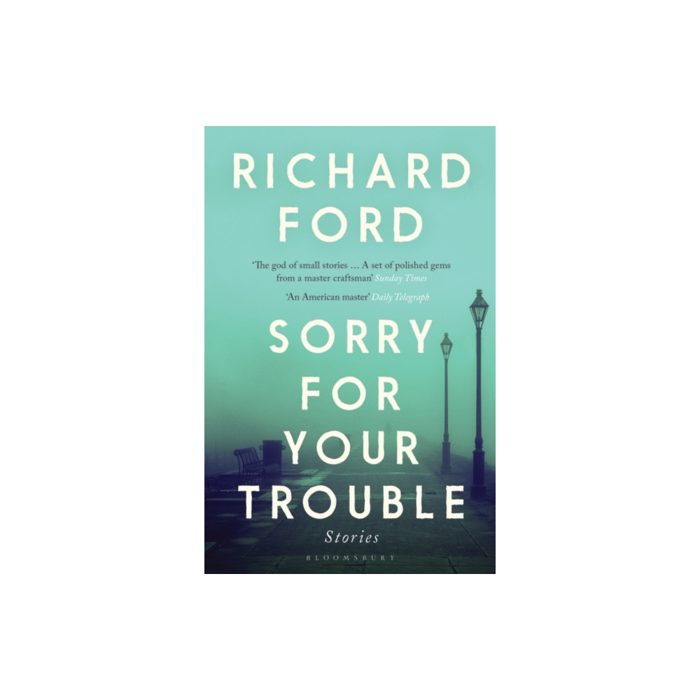 Produktbild för Sorry For Your Trouble (häftad, eng)