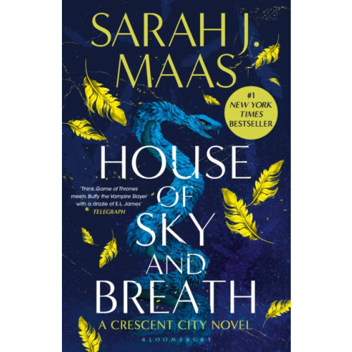 Bloomsbury Publishing PLC House of Sky and Breath (häftad, eng)