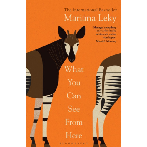 Bloomsbury Publishing PLC What You Can See From Here (häftad, eng)