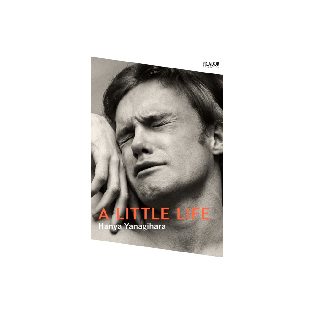 Produktbild för A Little Life (häftad, eng)