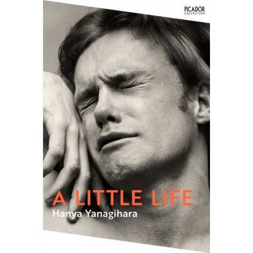 Pan Macmillan A Little Life (häftad, eng)