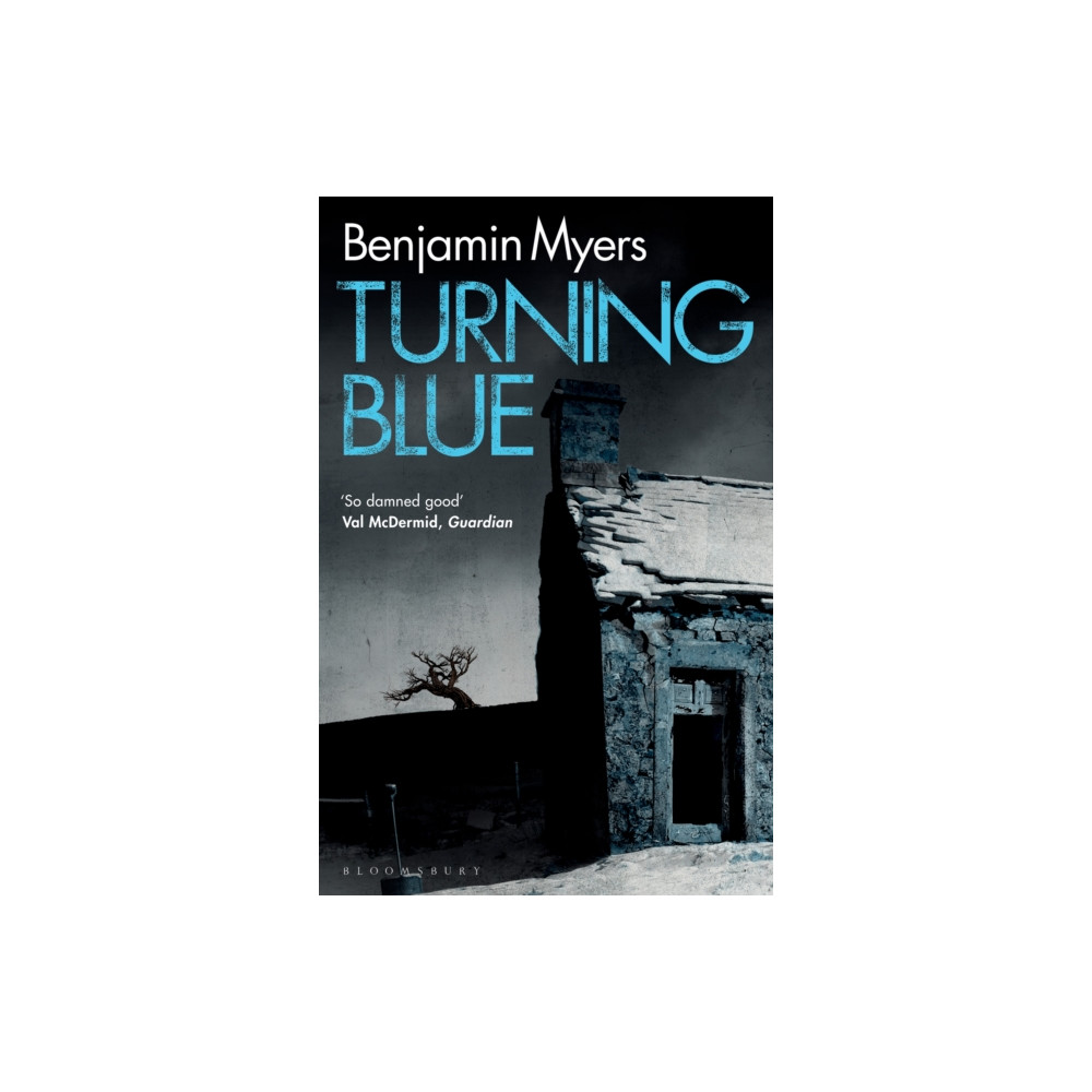 Produktbild för Turning Blue (häftad, eng)