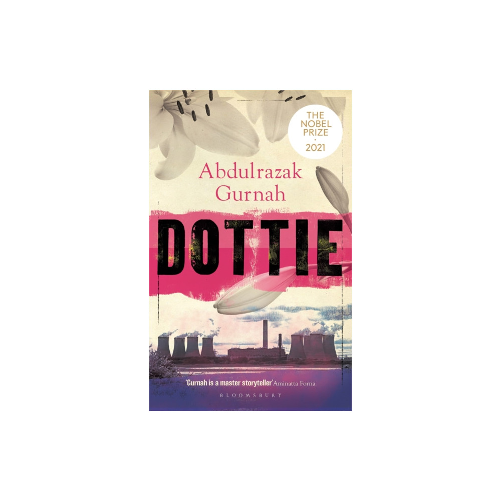 Produktbild för Dottie (häftad, eng)