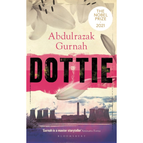 Bloomsbury Publishing PLC Dottie (häftad, eng)