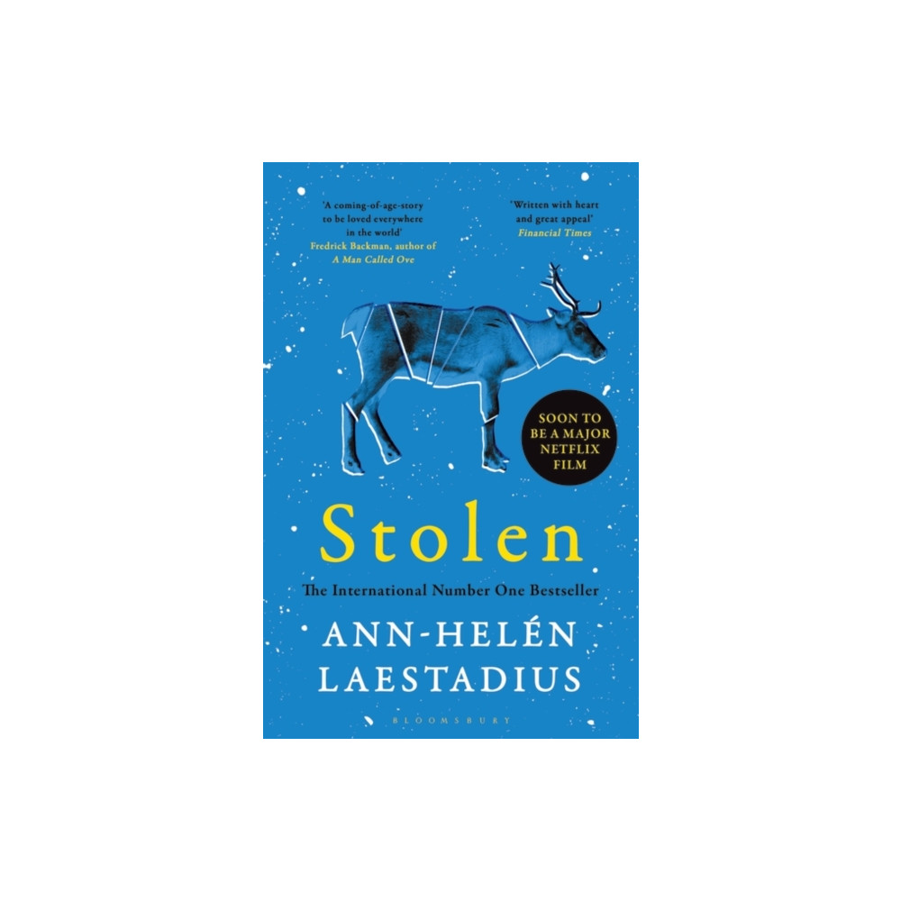Produktbild för Stolen (häftad, eng)