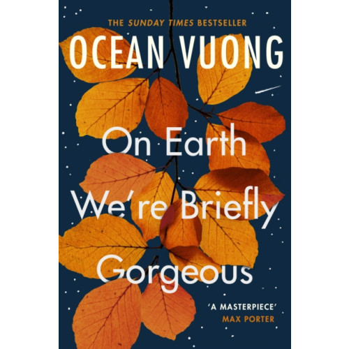 Vintage Publishing On Earth We're Briefly Gorgeous (häftad, eng)
