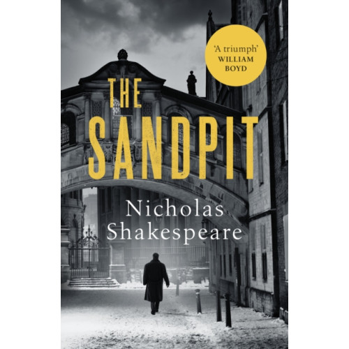 Vintage Publishing The Sandpit (häftad, eng)