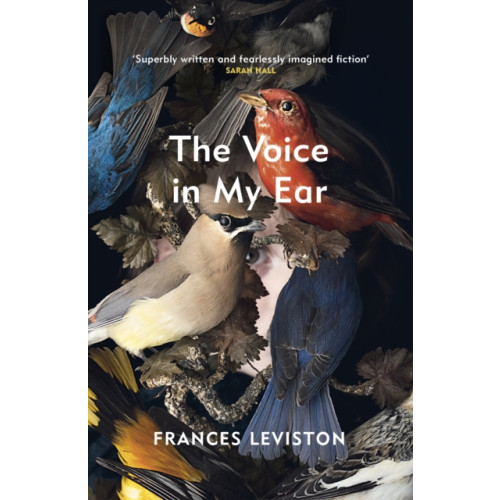 Vintage Publishing The Voice in My Ear (häftad, eng)
