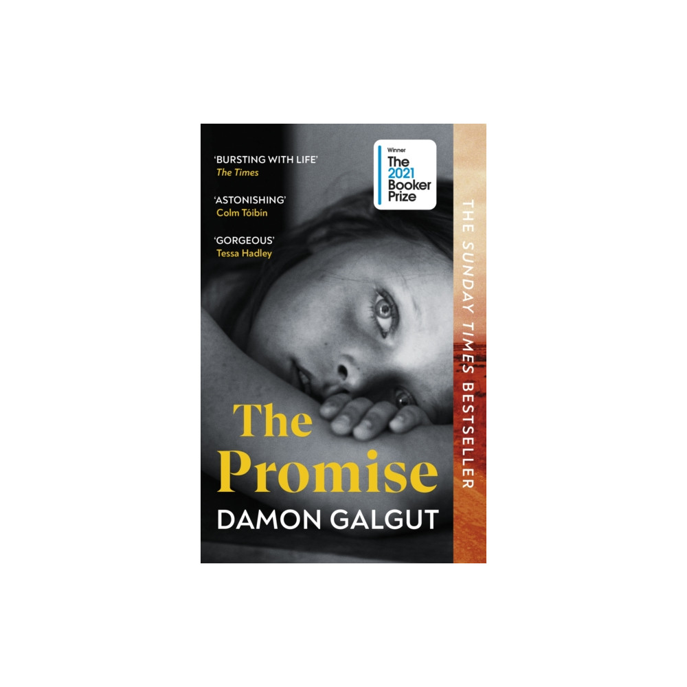 Produktbild för The Promise (häftad, eng)