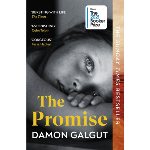 Vintage Publishing The Promise (häftad, eng)