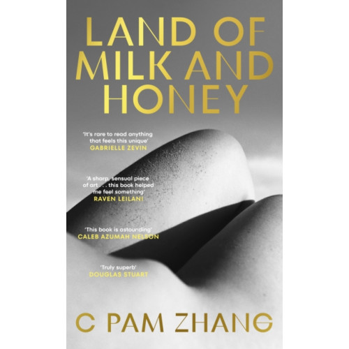 Cornerstone Land of Milk and Honey (häftad, eng)