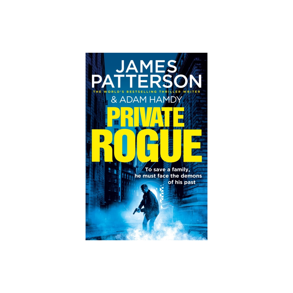 Produktbild för Private Rogue (häftad, eng)
