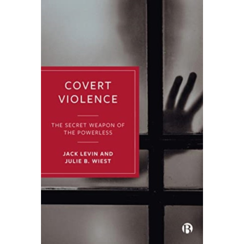 Bristol University Press Covert Violence (häftad, eng)