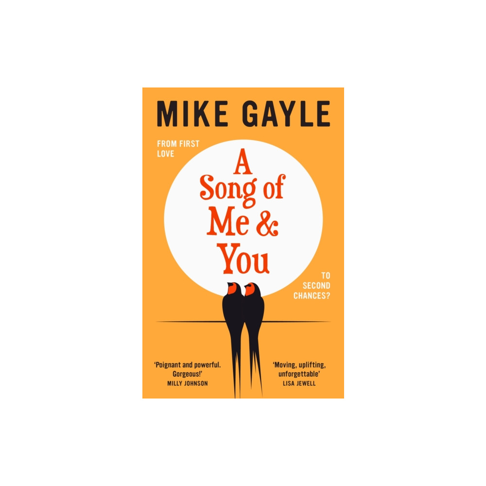 Produktbild för A Song of Me and You (häftad, eng)