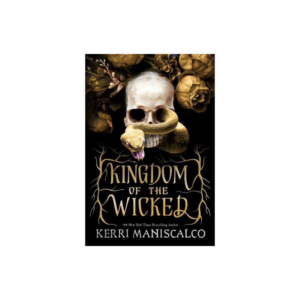 Produktbild för Kingdom of the Wicked (häftad, eng)