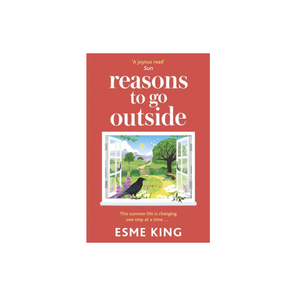 Produktbild för Reasons To Go Outside (häftad, eng)