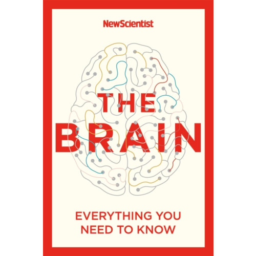 John Murray Press The Brain (häftad, eng)