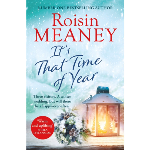 Hachette Books Ireland It's That Time of Year (häftad, eng)