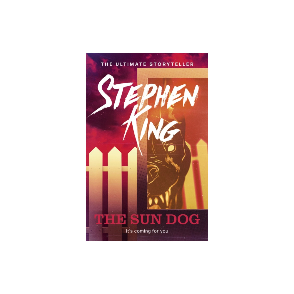 Produktbild för The Sun Dog (häftad, eng)