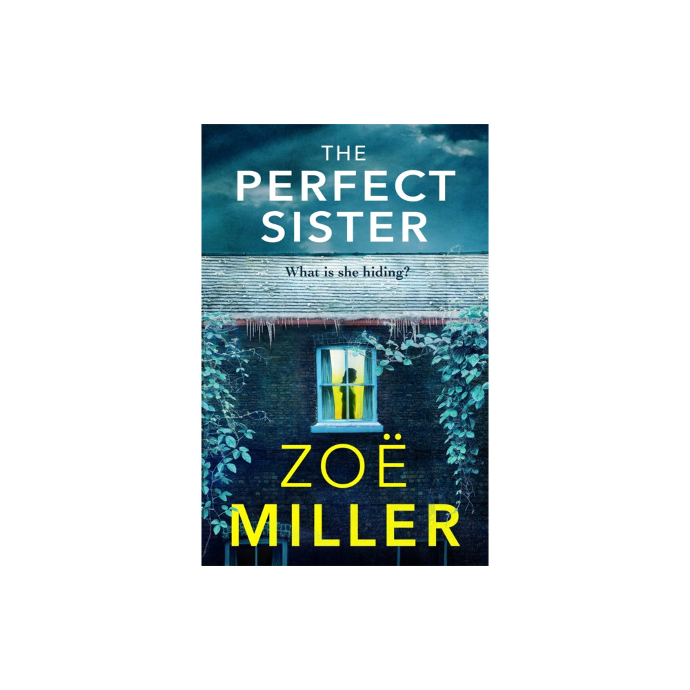 Produktbild för The Perfect Sister (häftad, eng)
